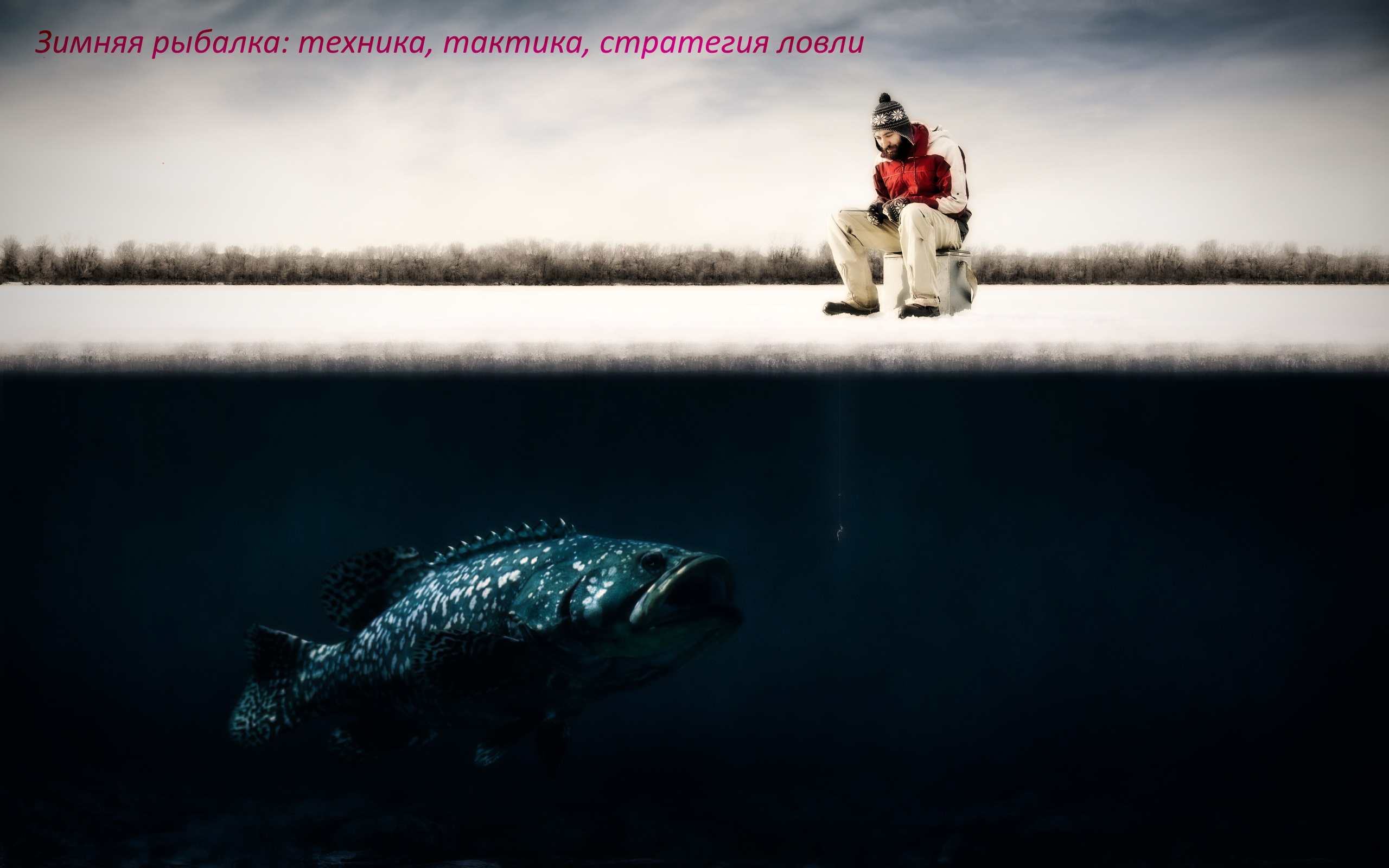 Зимова рибалка: техніка, тактика, стратегія лову