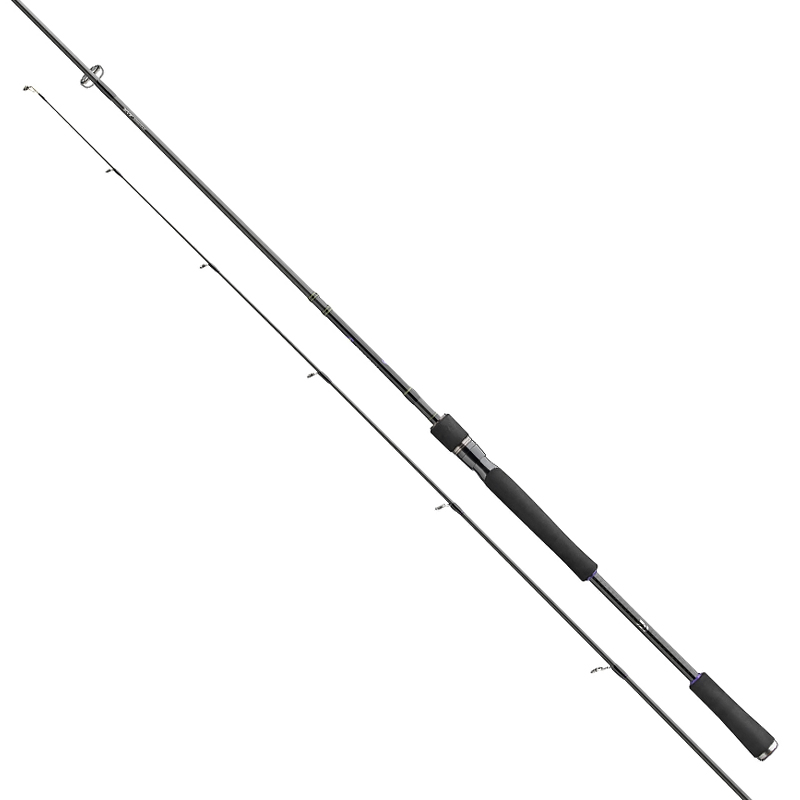 Спінінг Daiwa Prorex XR 2020 Spin 2.40m 30-70gr