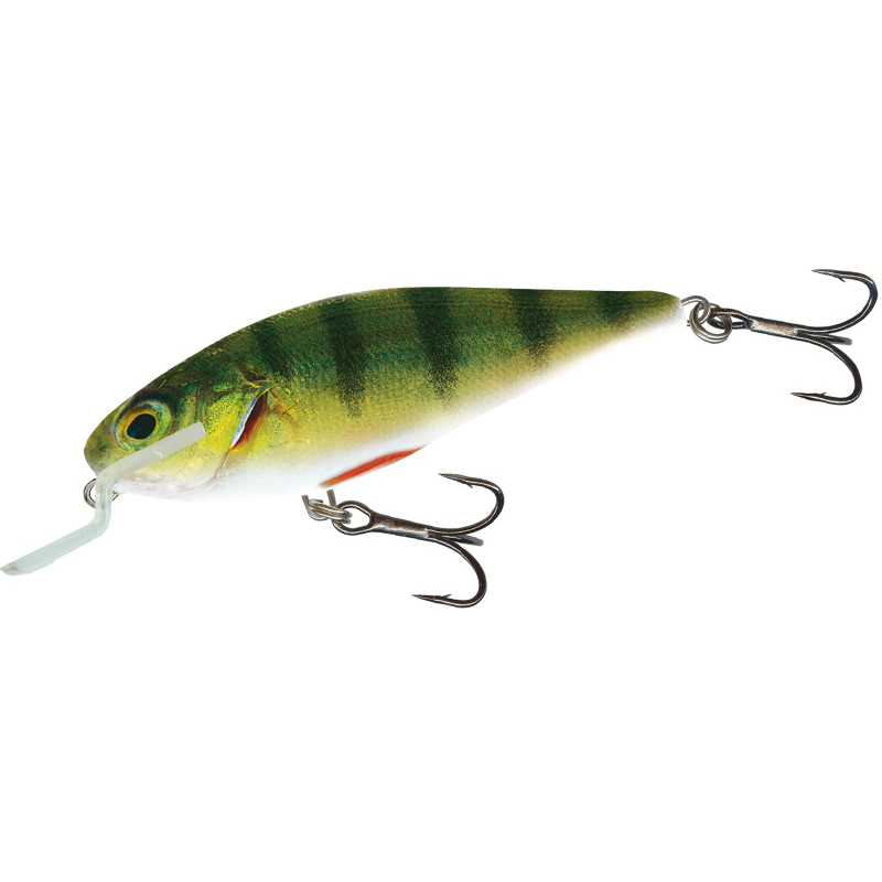 Воблер Salmo Executor 120F 120mm 33g #Holo Shiner фото 2