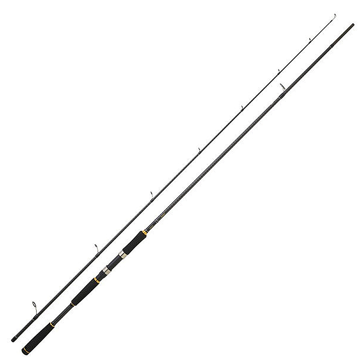 Спінінг Daiwa Legalis Seabass 2.9m 12-42g