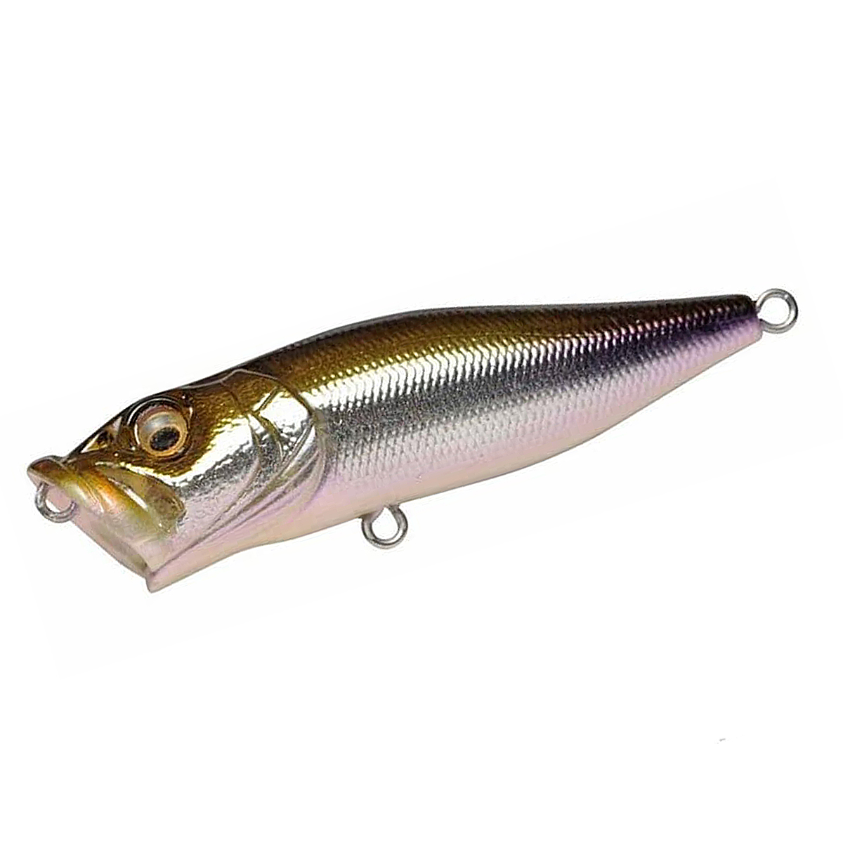 Поппер Megabass Pop-X 64F 64mm 7.0g #M Wakasagi
