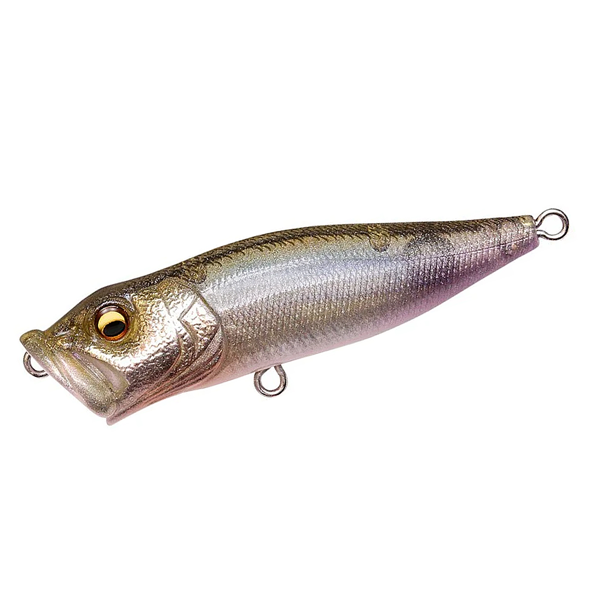Поппер Megabass Pop-X 64F 64mm 7.0g #FA Wakasagi