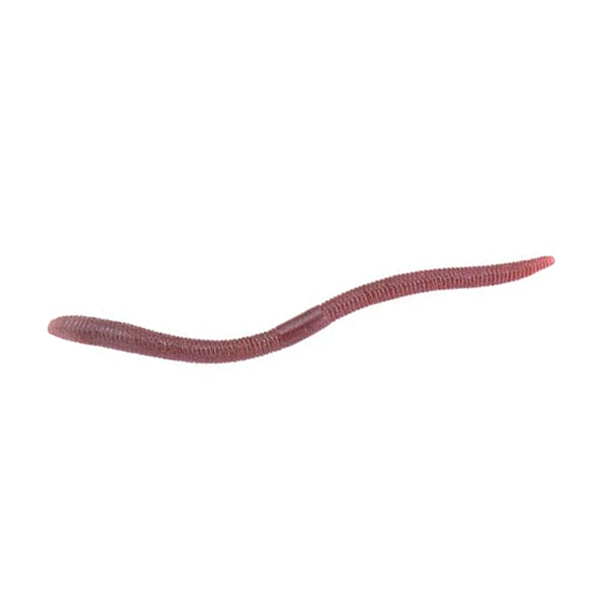 Силікон Jackall Flick Shake 4.8" 8pcs 2-Tone #Doba Worm