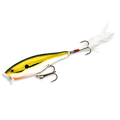 Поппер Rapala Skitter Pop Surface Popper 70mm 7g #SGFR фото 2