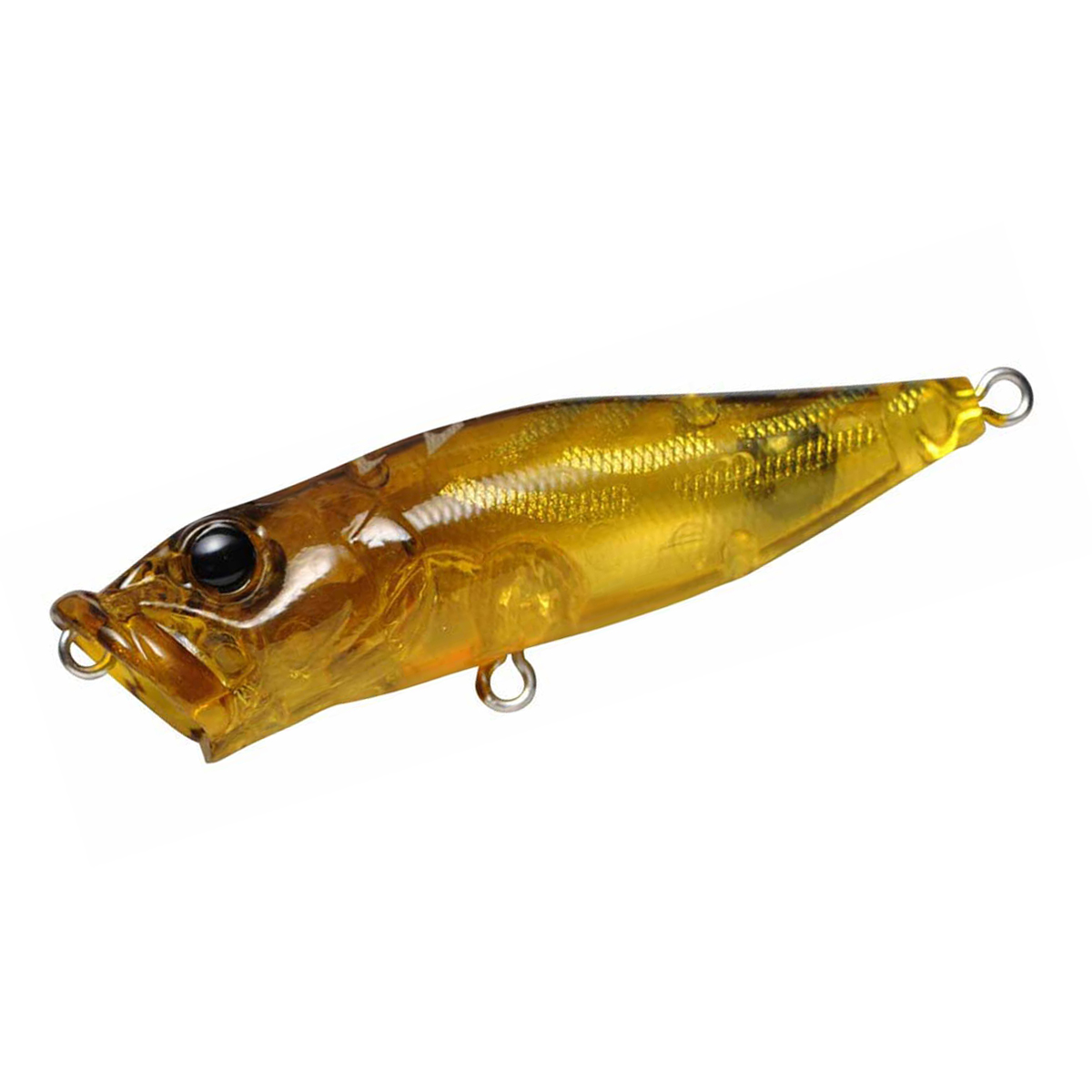 Поппер Megabass Pop-X 64F 64mm 7.0g #Cicada 2