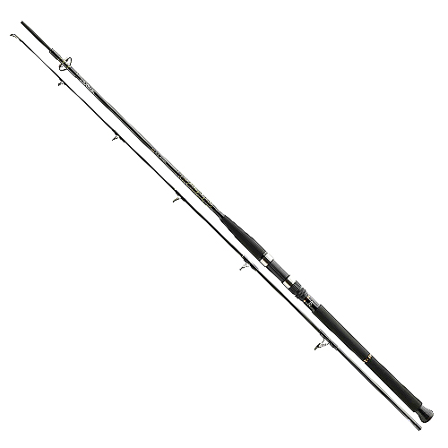 Спінінг Daiwa BG Boat 2.10m 150-400g